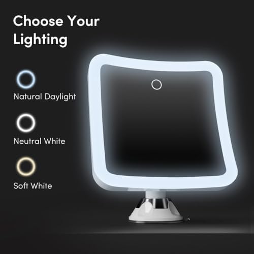 Experience Flawless MakeUp with the Fancii Rechargeable Mirror