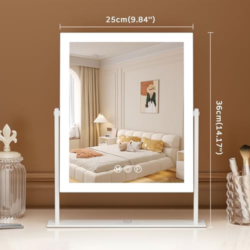 Fenchilin Vanity Mirror with Lights