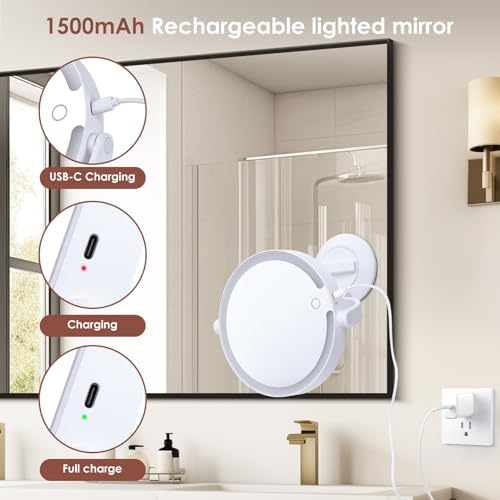 10X Magnifying Mirror with LED Lights and Suction Mount for Grooming