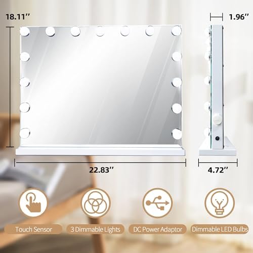 10X Magnifying Makeup Mirror with Lights