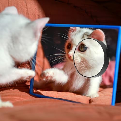 Magnifying Makeup Mirror