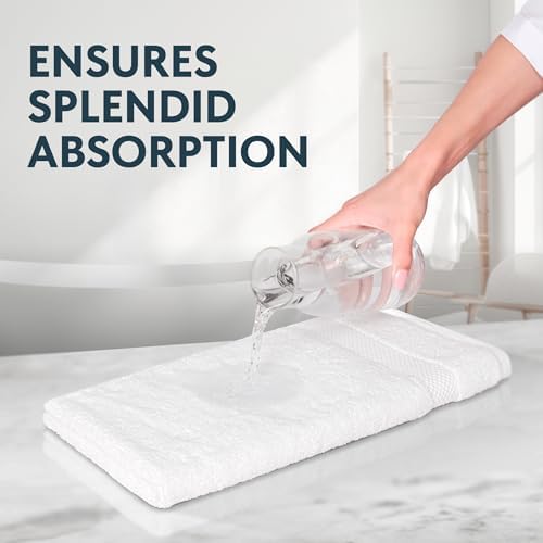 Experience the Difference Luxury White Classic Hand Towels for Your Home