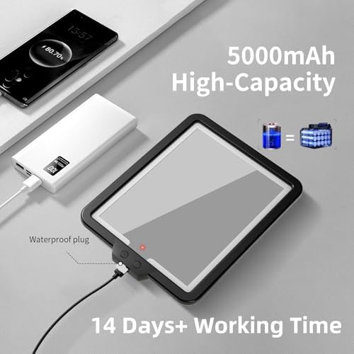 Fog-Free Heated Shower Mirror with Storage for Shaving