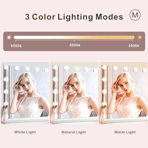 Hollywood Lighted Vanity Mirror with 10x Magnification