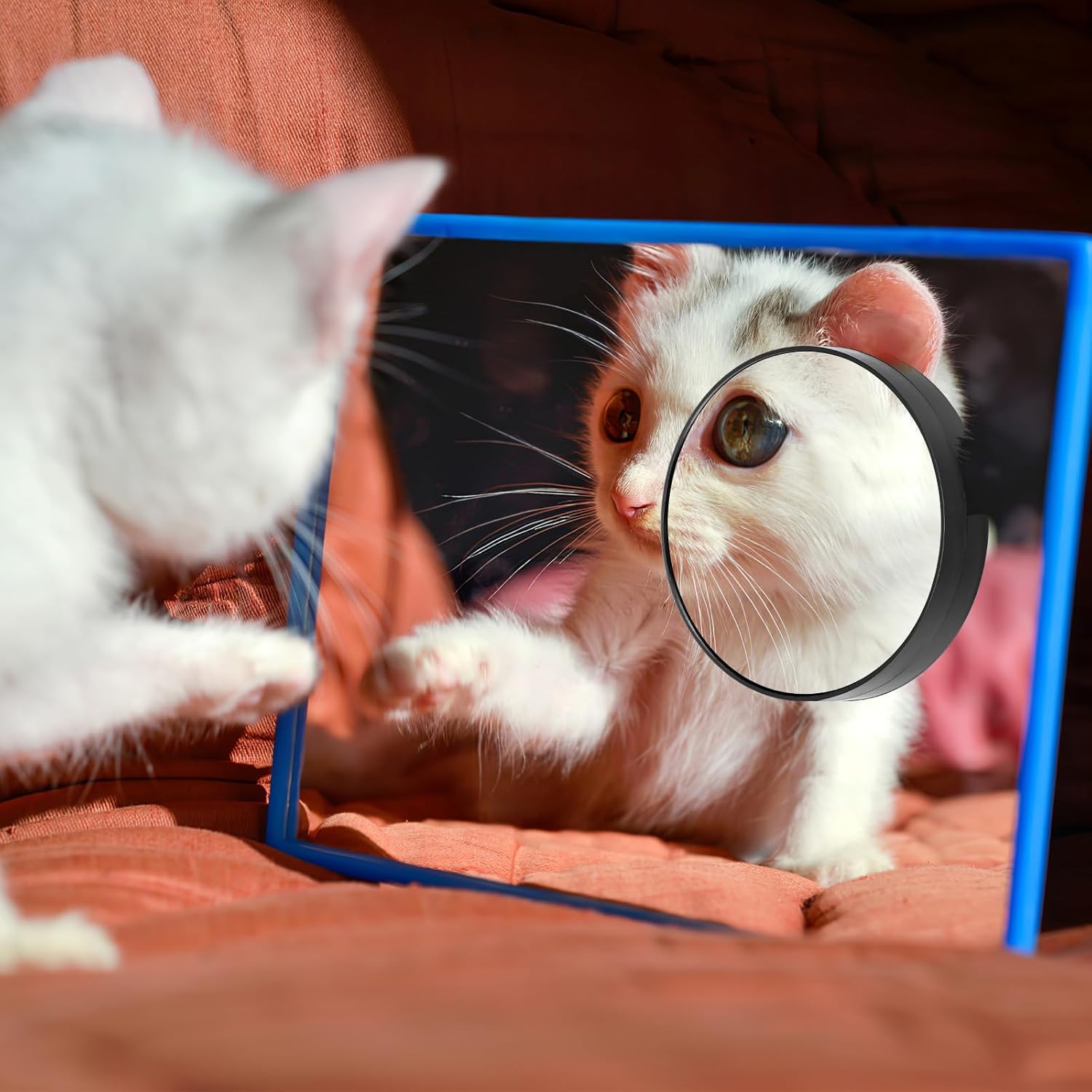 Magnifying Makeup Mirror
